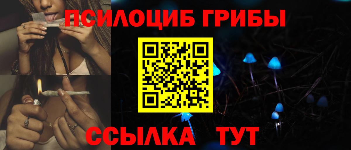 Сегежа  Псилоцибиновые грибы Psilocybine cubensis  продажа наркотиков  Вход с VPN 